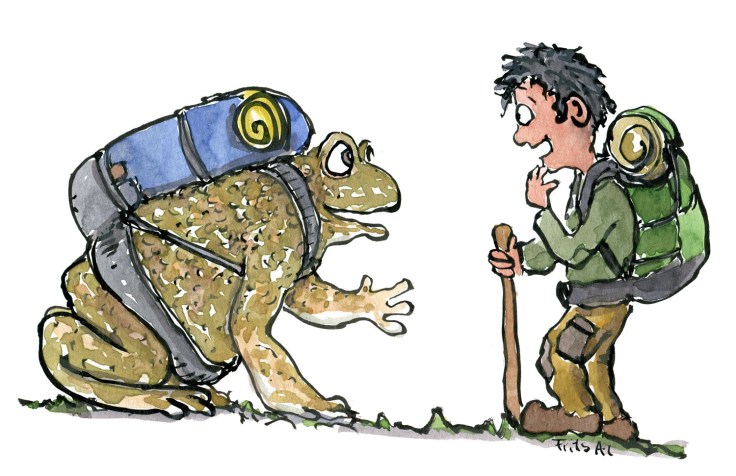 Frøer kan fungere som hjælpere og formidlere af magisk viden og verdener