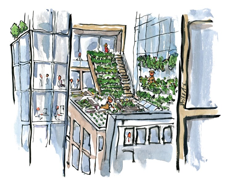 Tegning af grønne byhaver højt i byen